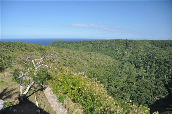 Stop voor een laatste Piña Colada