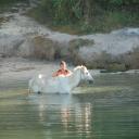 Een man wast zijn paard in de rivier