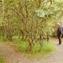 Arjan leest één van de bordjes langs de philosopher's trail in Michaelswood