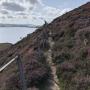 Wandeling op Muckle Roe