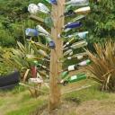 'Flessenboom' in de tuin